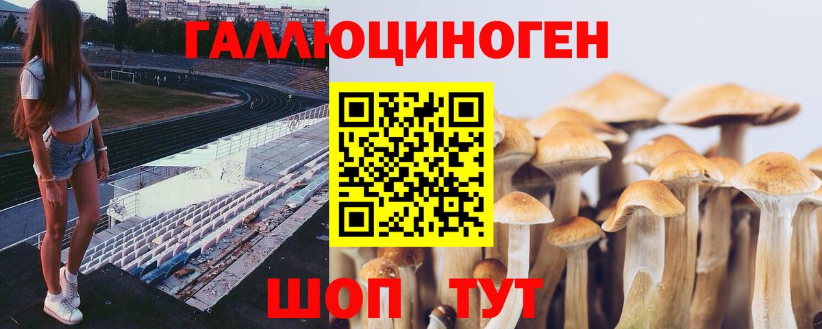Псилоцибиновые грибы мухоморы Алатырь