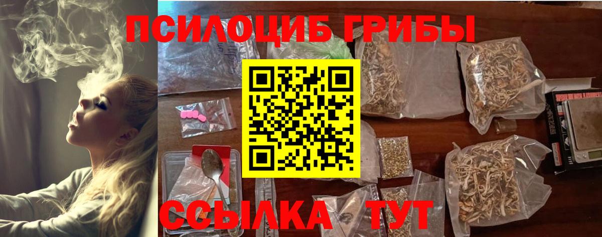 Алатырь  Псилоцибиновые грибы Psilocybine cubensis  Псилоцибиновые грибы MAGIC MUSHROOMS  Вход с VPN 
